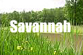 Savannah Event Planning